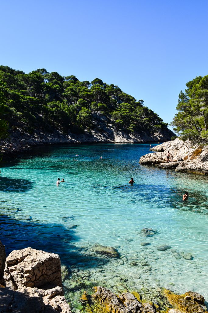 Explore the stunning Calanques with crystal clear waters in Provence-Alpes-Côte d'Azur, France.